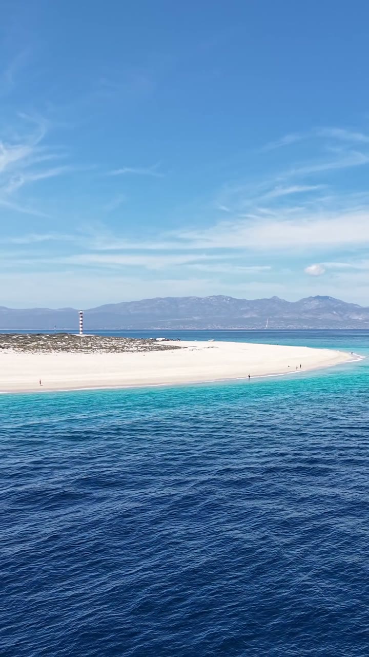 Seasonal marine wildlife footage from the Sea of Cortez